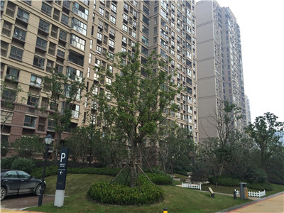 吳中區(qū) 招商雍華府（雍尚花園）